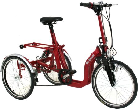 Bikehighway.com - Di Blasi R32 Folding 5 Speed Special Needs