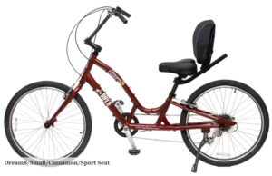 Day 6 Dream 8 Speed Semi-Recumbent Aluminum Beach Cruiser Bicycle