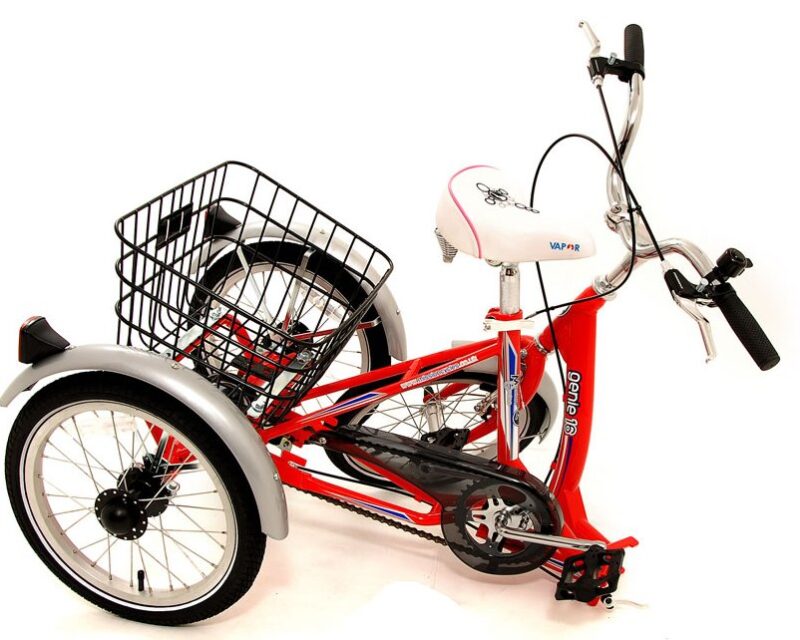 Bikehighway.com - Mission Space Genie Special Needs Folding Tricycle -16"