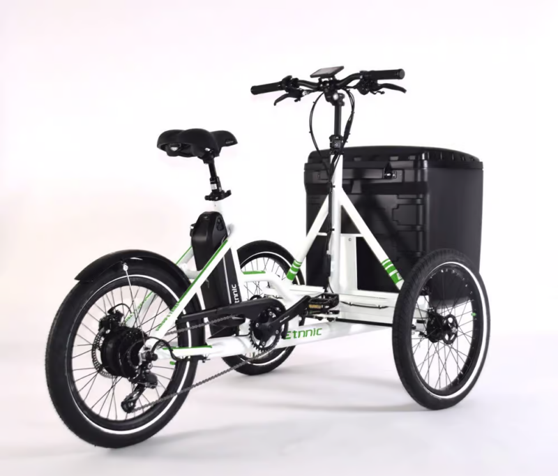 Bikehighway.com - Etnnic Cargo Trike