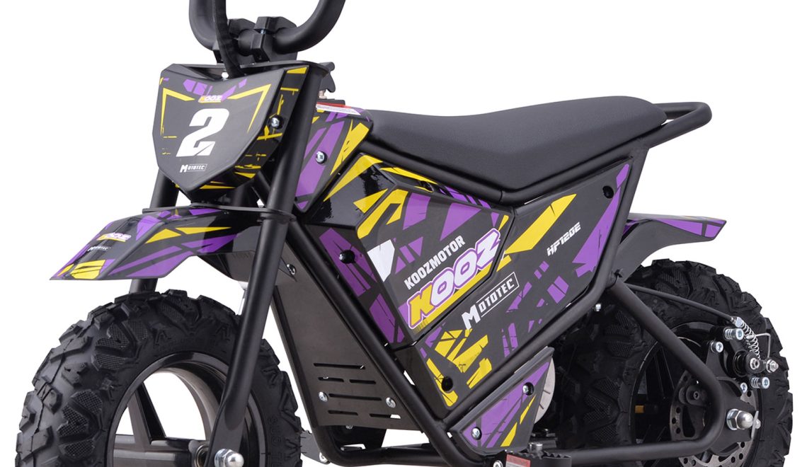 Bikehighway.com - MotoTec 24v 250w (HP120E) Electric Powered Mini Bike Purple